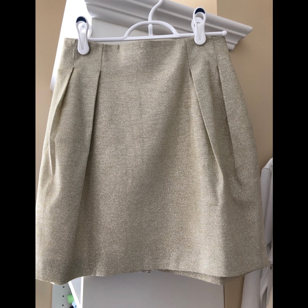 Gold Shimmer Skirt